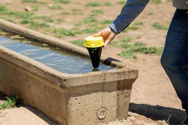 Revolutionizing Agriculture: How Unique Aussie Design is Winning Awards and Helping Farmers