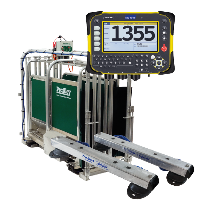 Datamars Livestock - Prattley 3-Way Electric Auto Drafter and Tru-Test MP 600 load bars/XR5000 bundle