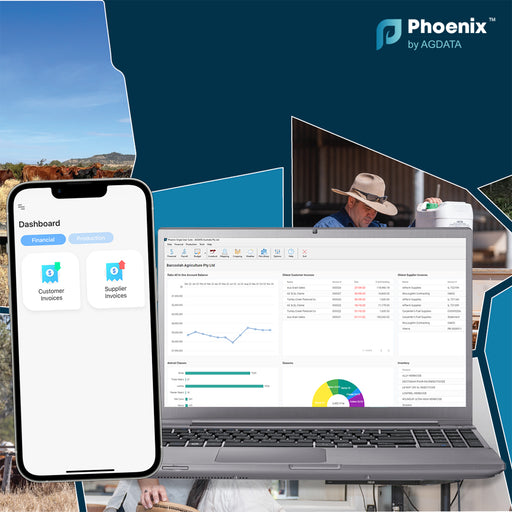AGDATA Holdings-Phoenix Financials Live Pro