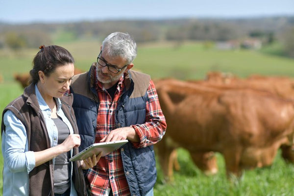 Get Ahead with INCYT'S One-Hour Smart Farm Planning Session