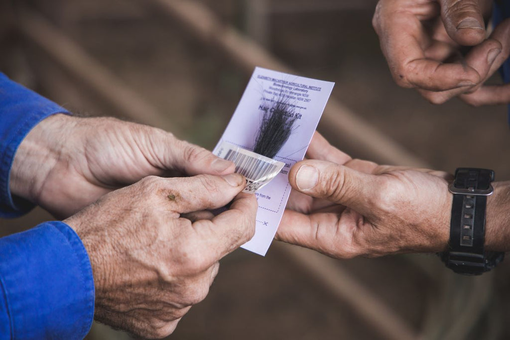 Can technology reduce your risk of becoming a victim of crime?