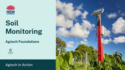 Soil moisture probe in farming