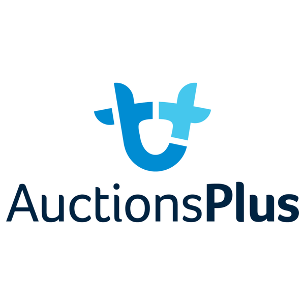 AuctionsPlus