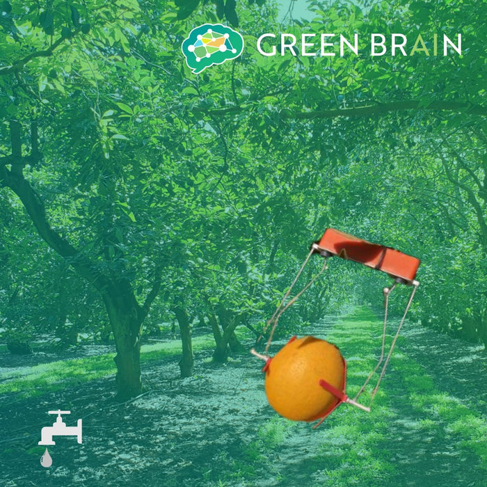 Green Brain - Fruit Dendrometer