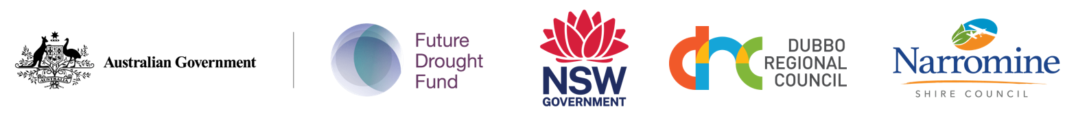 Describes the appearance of the image