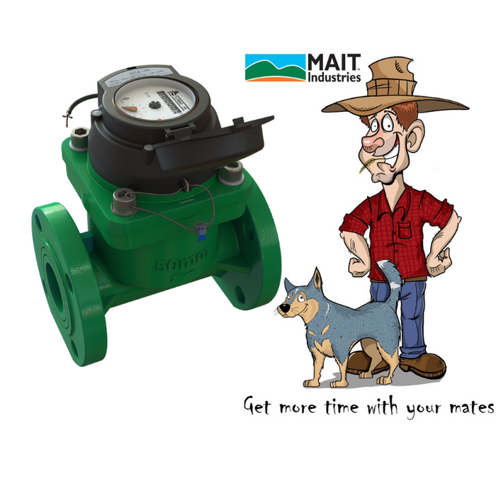 MAIT_150mm Paddle Water Meter