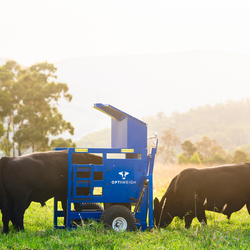 Optiweigh-Optiweigh Cattle