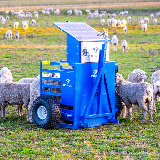 Optiweigh-Optiweigh Sheep - Double Bay
