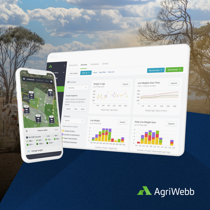 AGRIWEBB - Individual - Performance