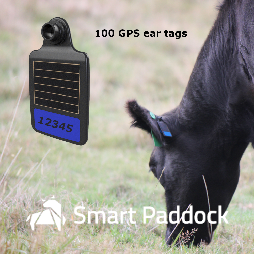 Bluebell Smart GPS Ear Tags — NSW Department of Primary Industries and