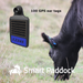 Smart Paddock - Bluebell Smart GPS Ear Tags
