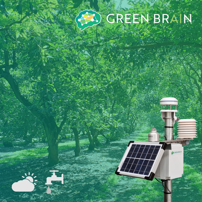 Green Brain - Weather Station