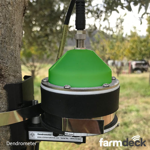 Farmdeck Fruit & Vegetable Dendrometer - Small fruit