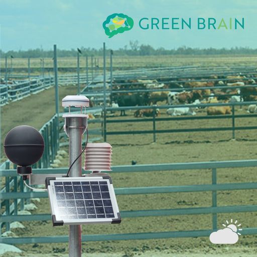 Green Brain - Feedlot Weather Station
