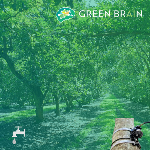 Green Brain - Plant Stress Sensor, add-on