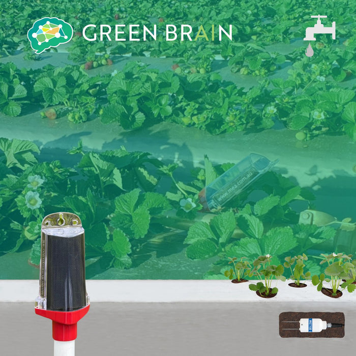 Green Brain - Soil Moisture Monitoring Site (Substrate)