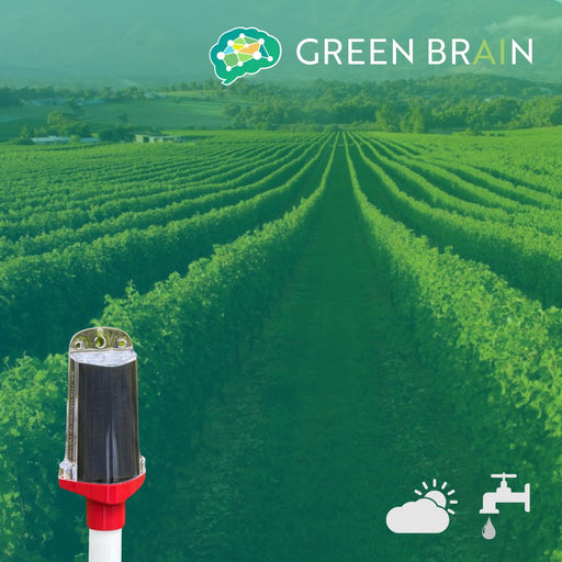 Green Brain - Soil Moisture Monitoring Site (Vineyard)