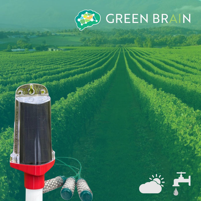 Green Brain - Starter Soil Moisture Monitoring Site