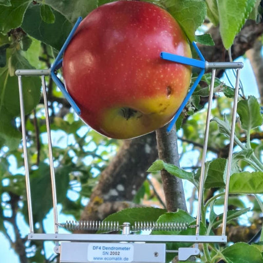 ICT International - Fruit & Vegetable Dendrometer For Medium to Large Sized Fruit