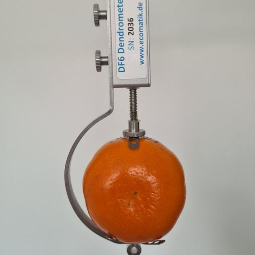 ICT International - Fruit & Vegetable Dendrometer For Small to Medium Sized Fruit