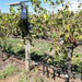 ICT International - Plant Monitoring Station 1 Base Package (LoRaWA)Plant Monitoring Station 1 Base Package (LoRaWA)