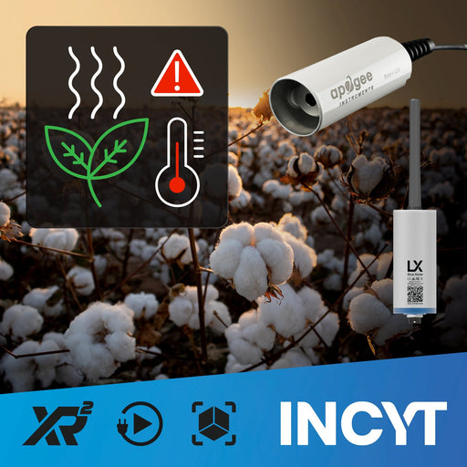 INCYT - Smart Sensor - Infrared Thermography (IRT)