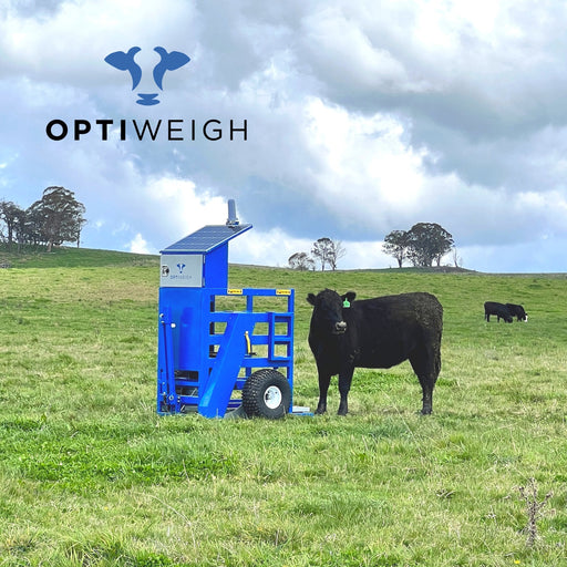 Optiweigh - Optiweigh - Cattle