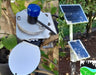 Sustainable Horticulture - Basic Plant Climate Station LoRaWAN