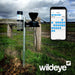 Wildeye - Premium Rain Gauge