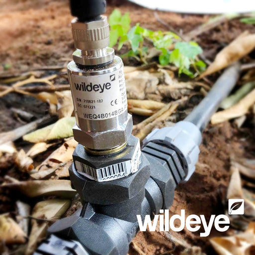 Wildeye - Water Pressure Monitoring